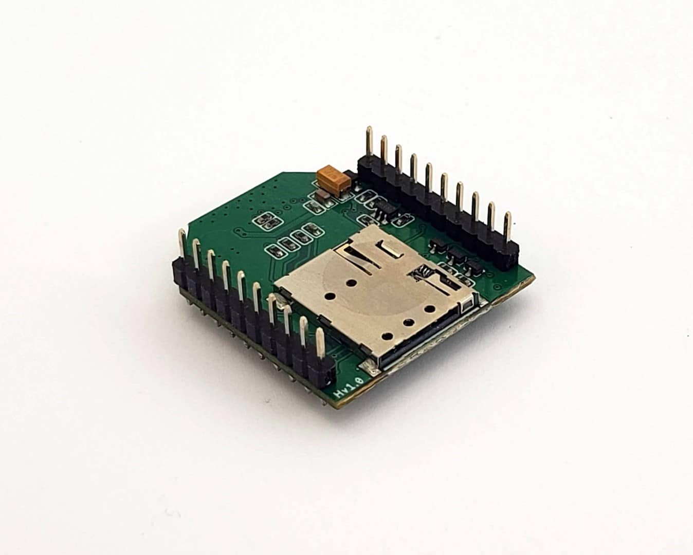 EnviroDIY LTE Bee