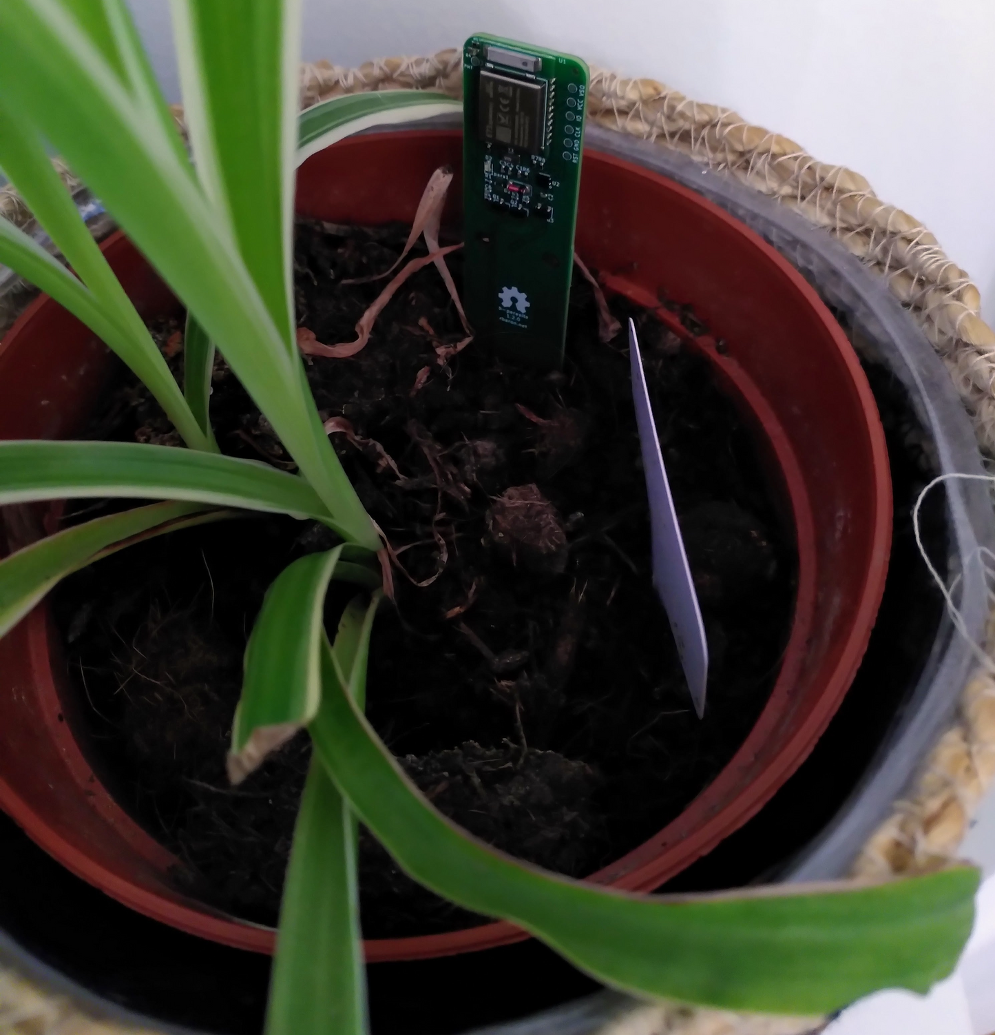 Soil Moisture Sensor